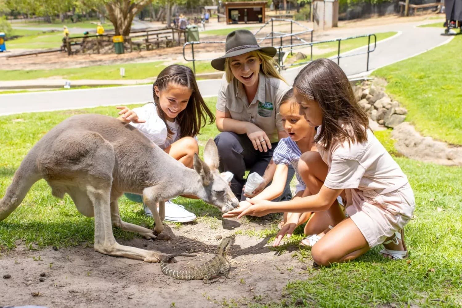 Currumbin Wildlife Sanctuary: Up-Close Encounters Near the Gold Coast photo 4