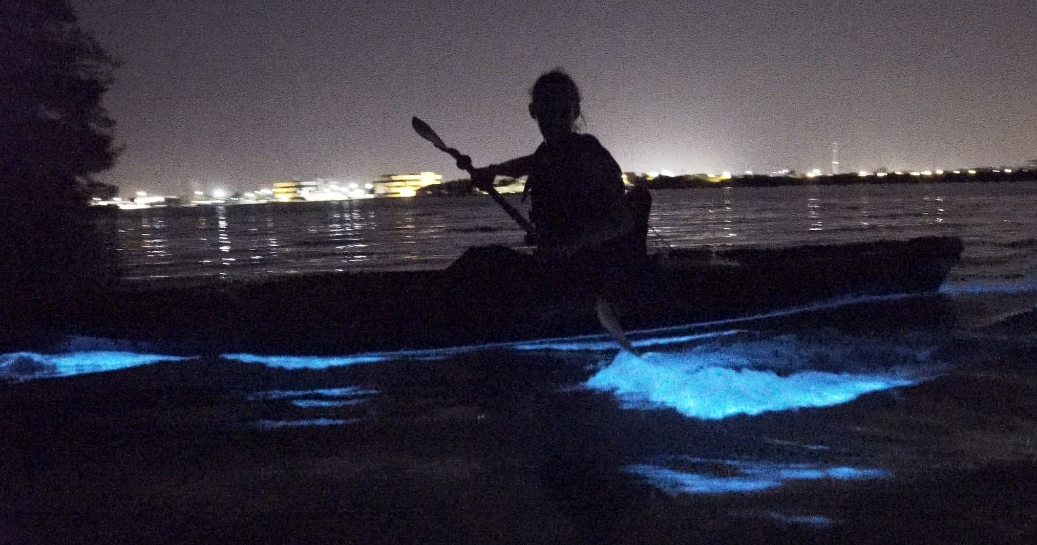 Bioluminescent Kayak Tours with A Day Away Kayak Tours