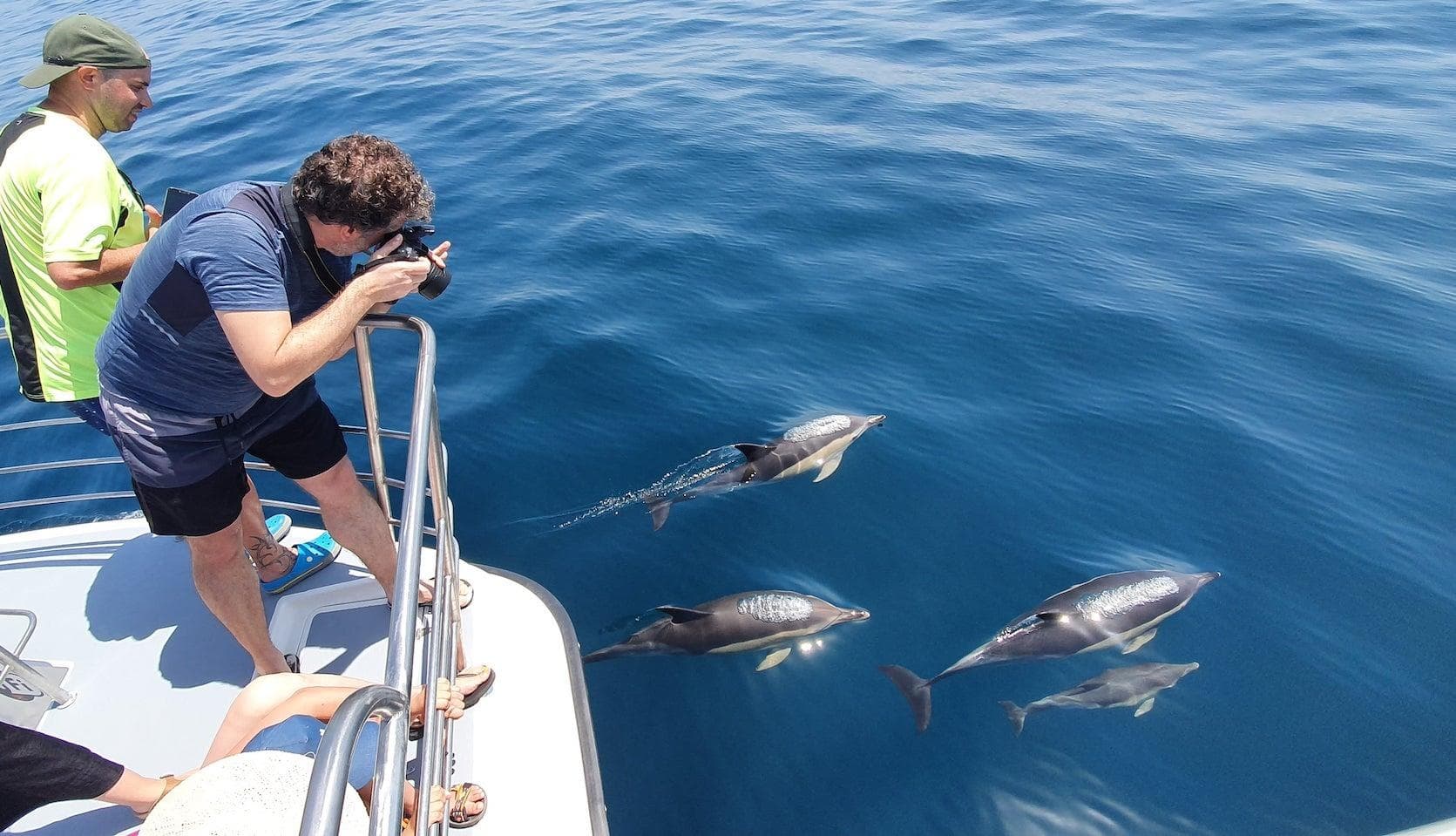Speedboat Dolphin Watching and Benagil Cave Tour from Lagos