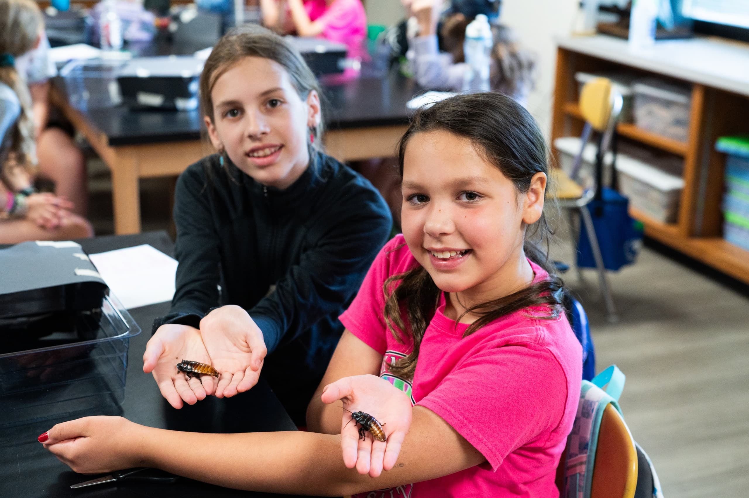 Give the Gift of Wonder: 2026 Summer WonderCamp Gift Certificate in Bloomington photo 1