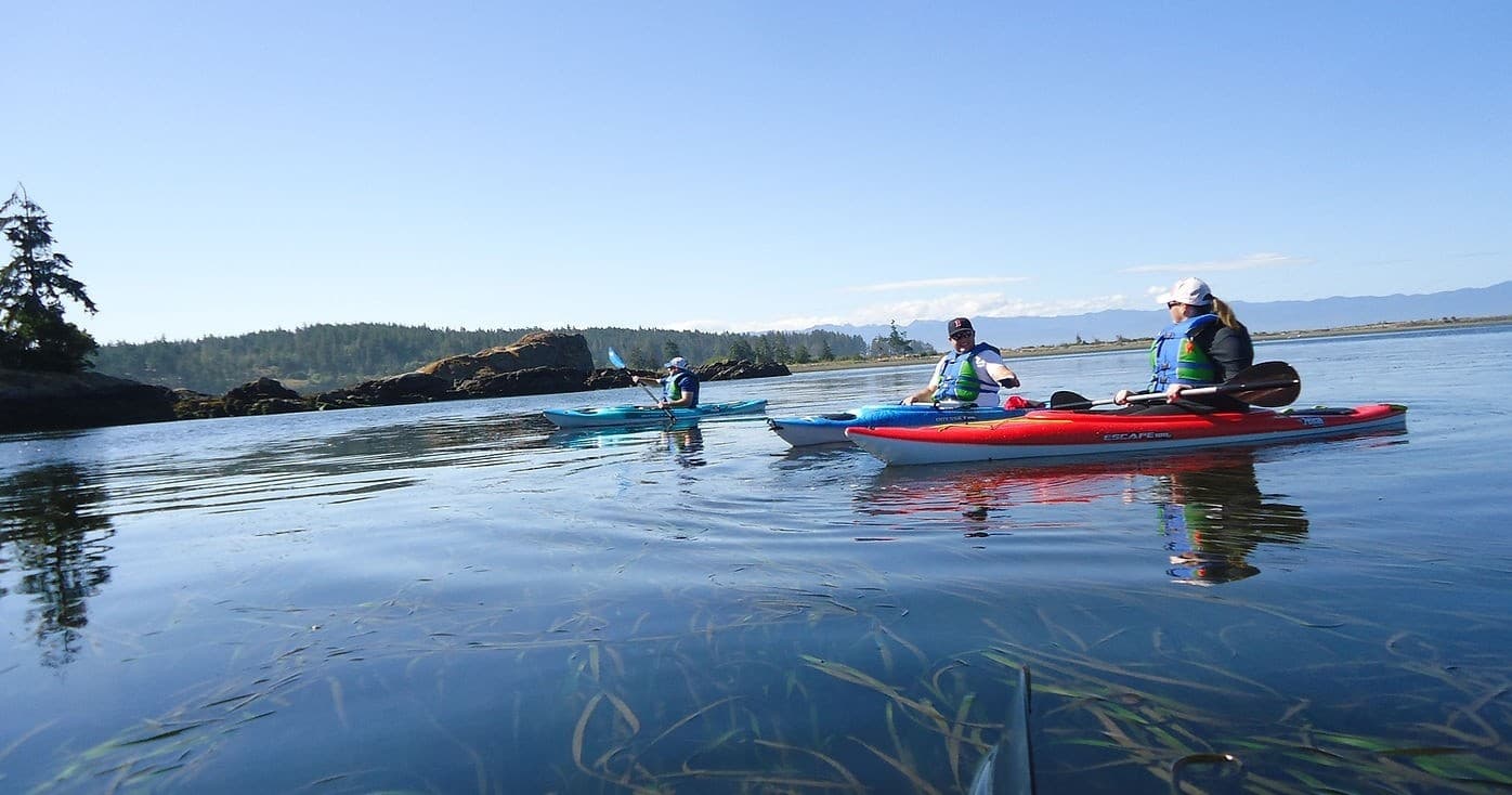Sea kayakers paddling across calm coastal waters at sunrise