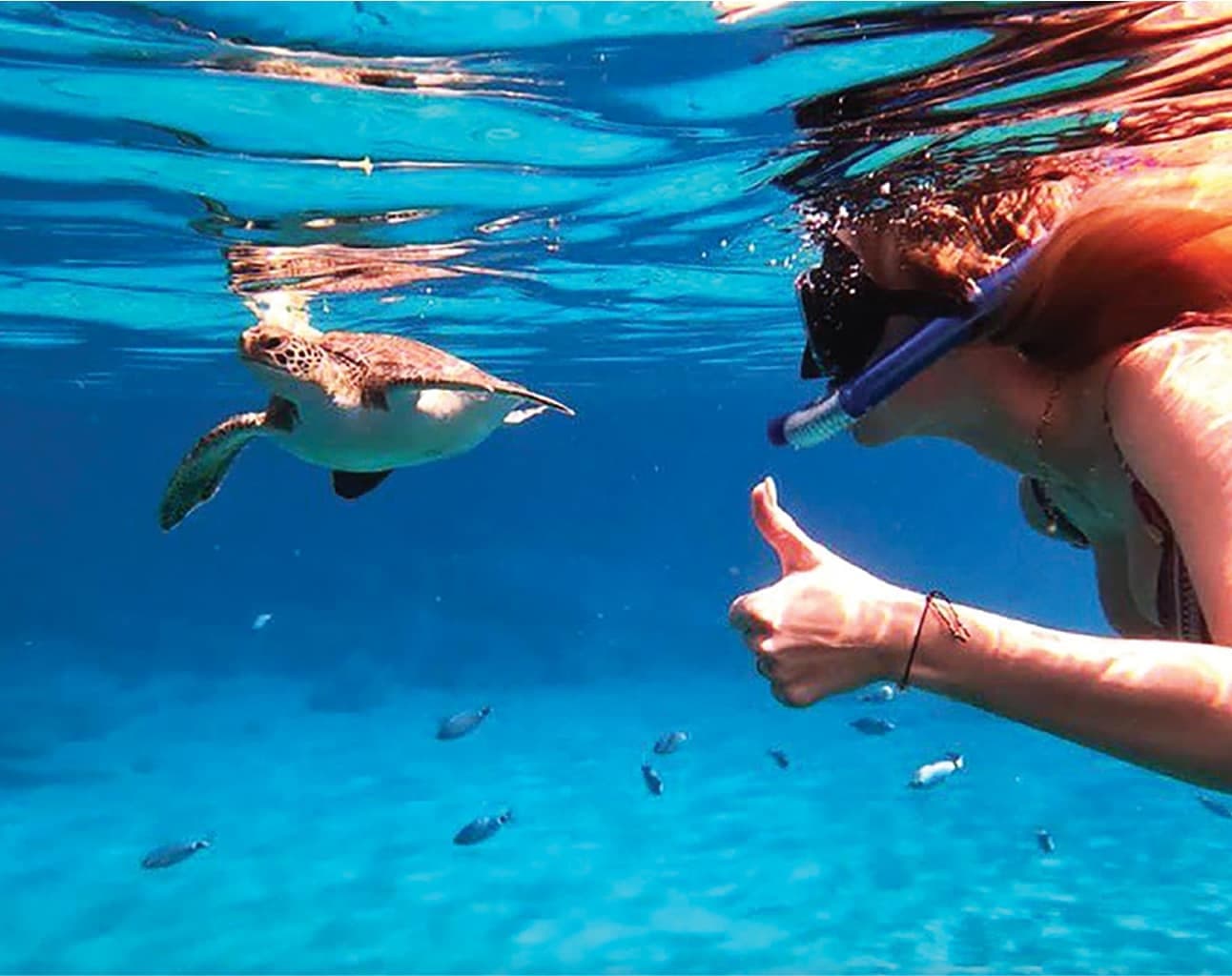 Blue Lagoon Turtle Cruise from Ayia Napa: Sea Caves, Konnos Bay & Cypriot BBQ