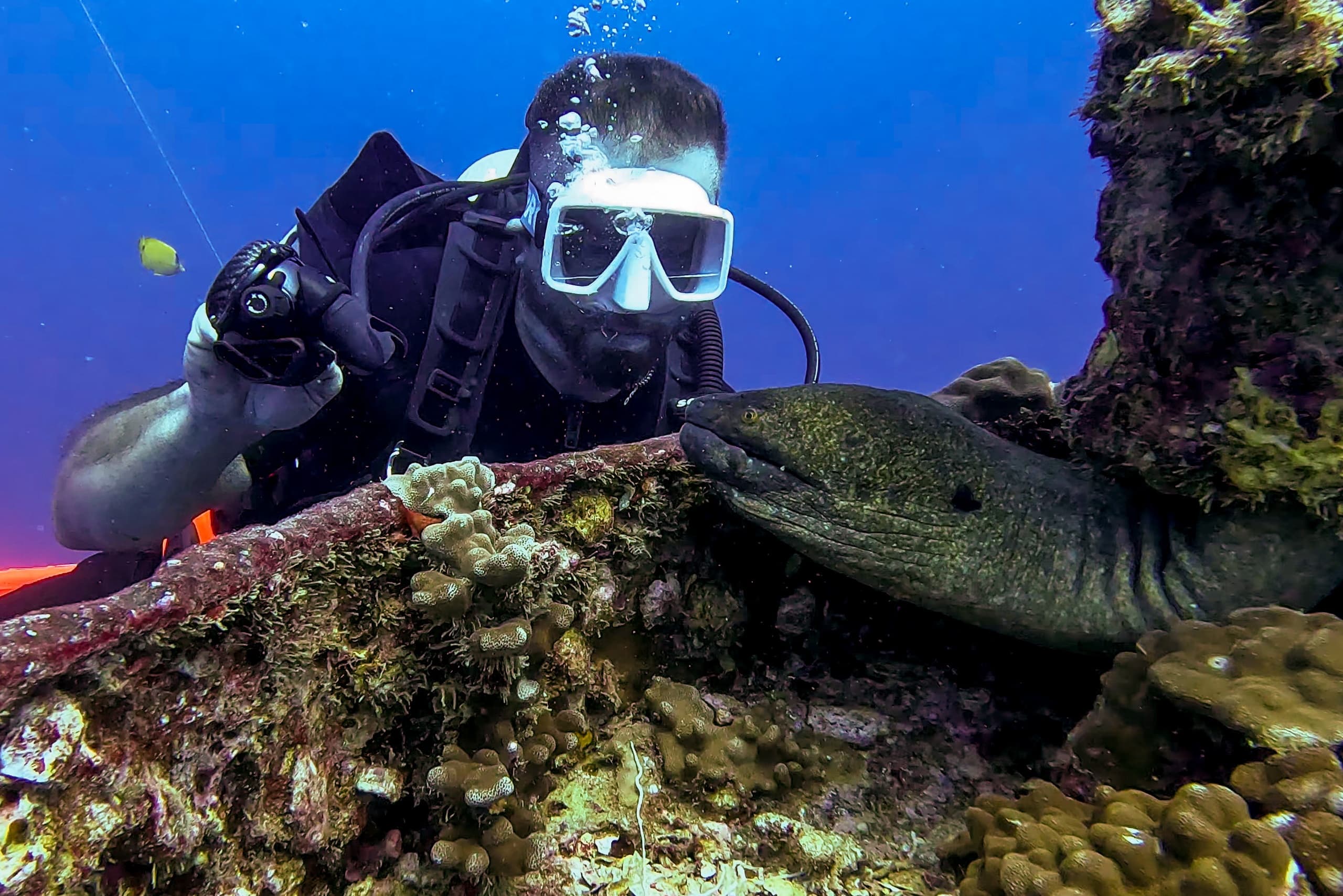 PADI SCUBA Courses with Ocean Therapy Charters in Honolulu