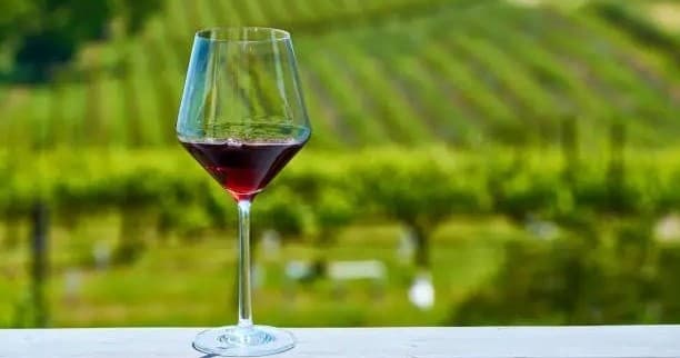 VIP Vineyard Escape: Napa Valley Winery Tour from San Francisco