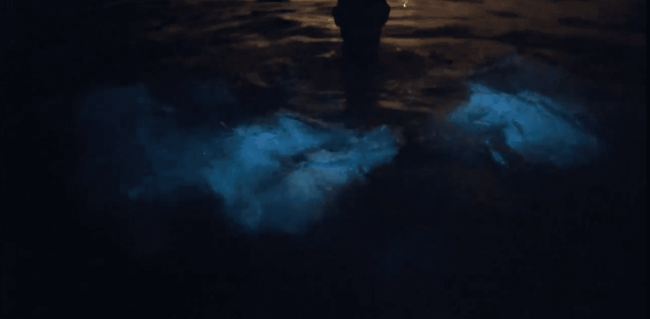 Bioluminescent cave water glowing during nighttime cave swim