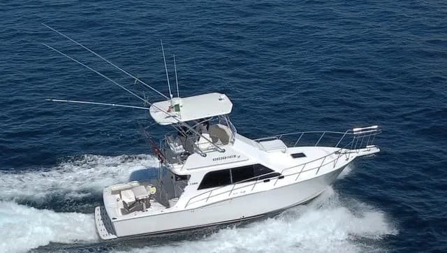 Aboard 19's Toy: 35-Foot Cabo Flybridge Fishing & Day Charters in Cabo San Lucas photo 1