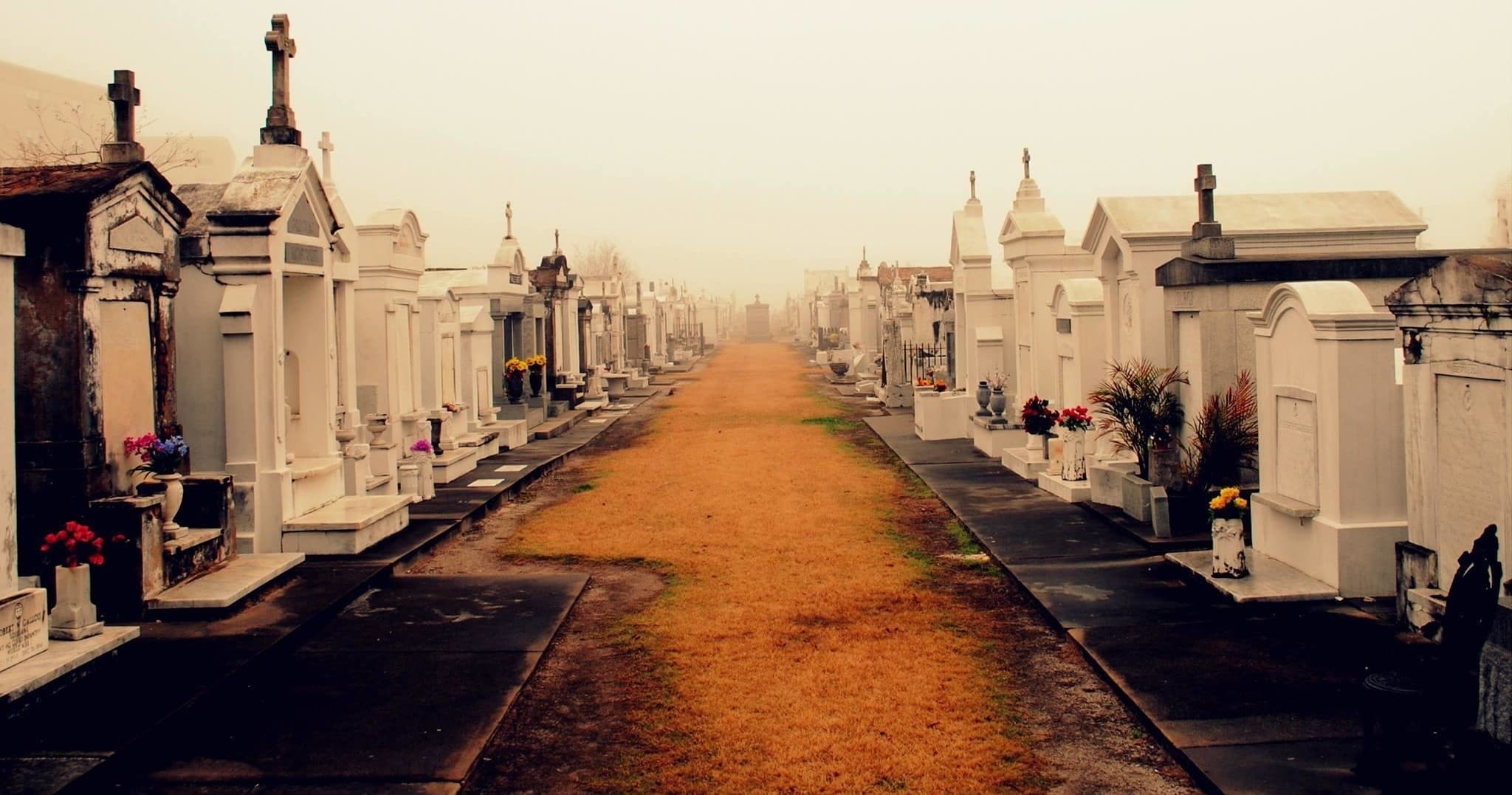 Wide view of historic above-ground cemetery avenue at sunrise
