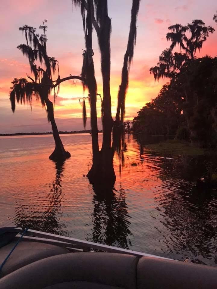 Early Bird Dinner Cruise in Winter Haven, Florida photo 3