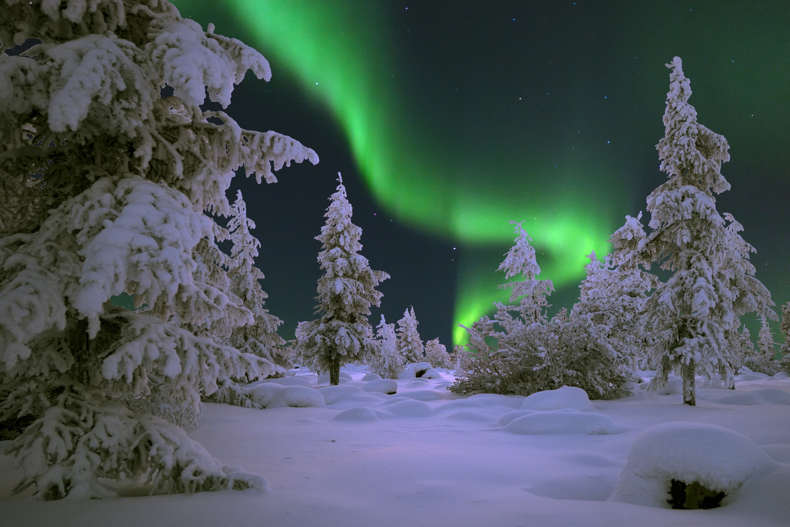 Winter Adventures in Rovaniemi with Access Lapland