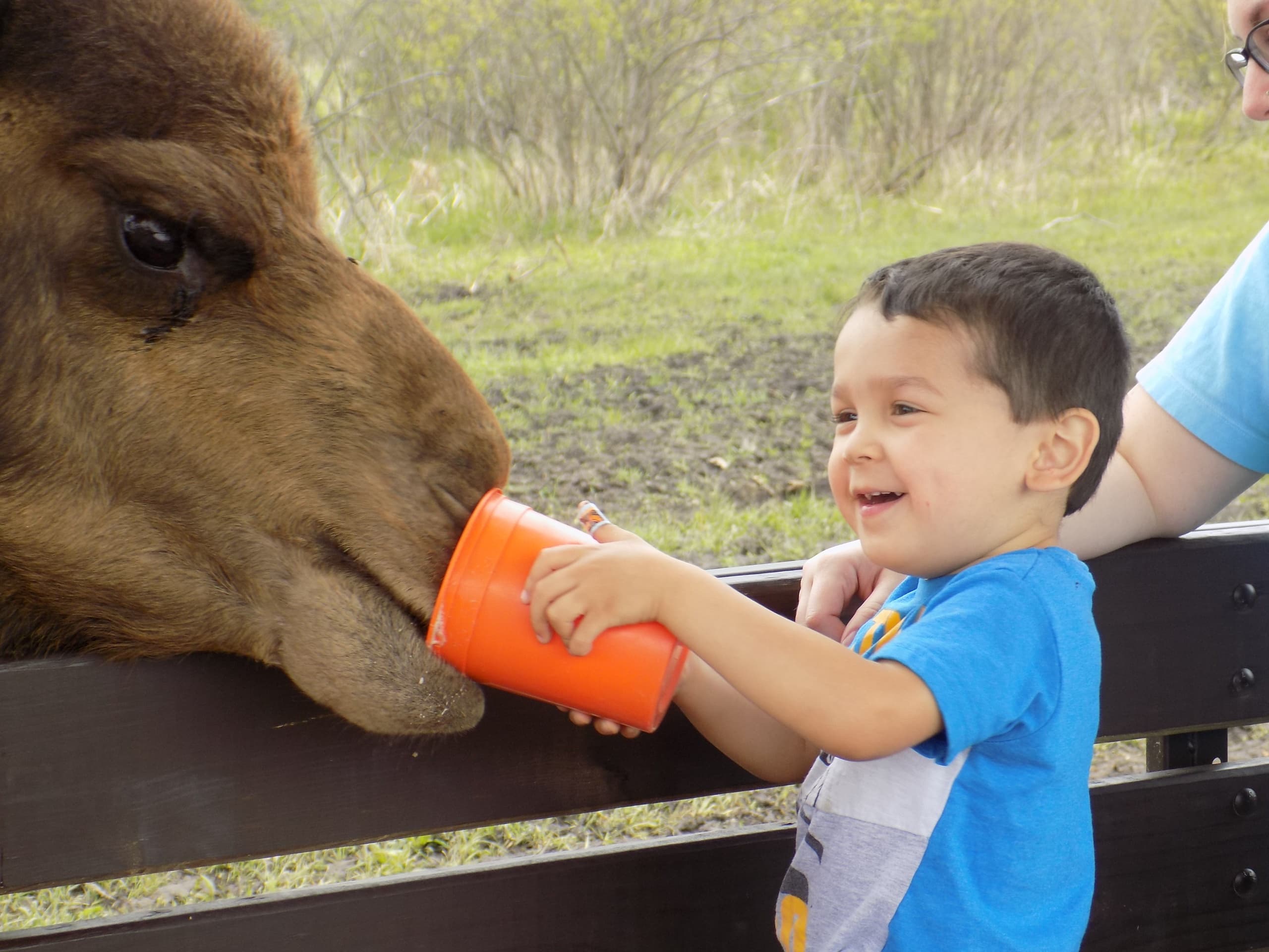 Educational Safari Expedition in Lake Geneva, Wisconsin