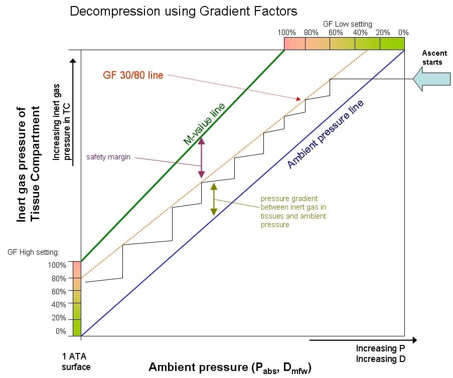 Decode Your Dive Computer: Decompression Theory Series in Punta Gorda