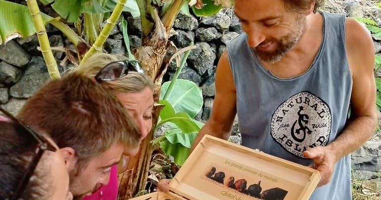 Vanilla Farm Experience | Attraction in Los Silos | Farm, Eco Tour