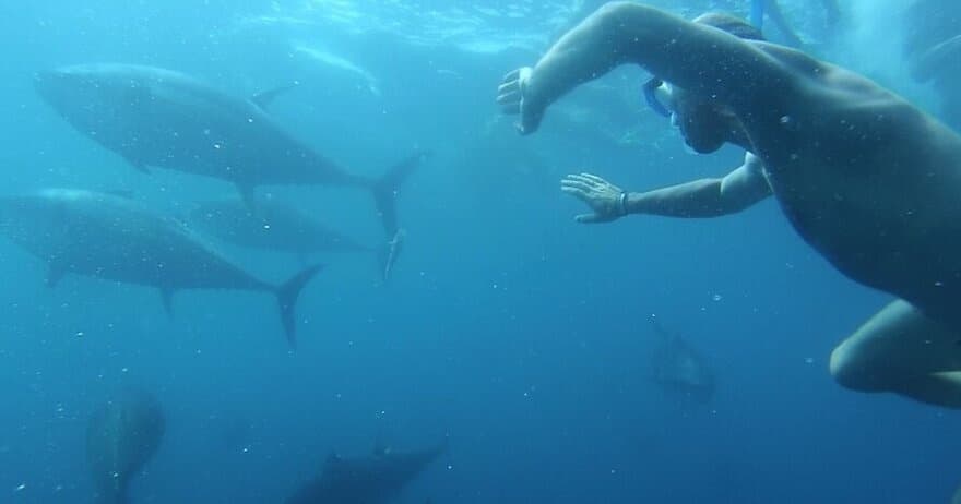 Water Activities: Tuna Tour Experience at Nautic Parc Costa Daurada