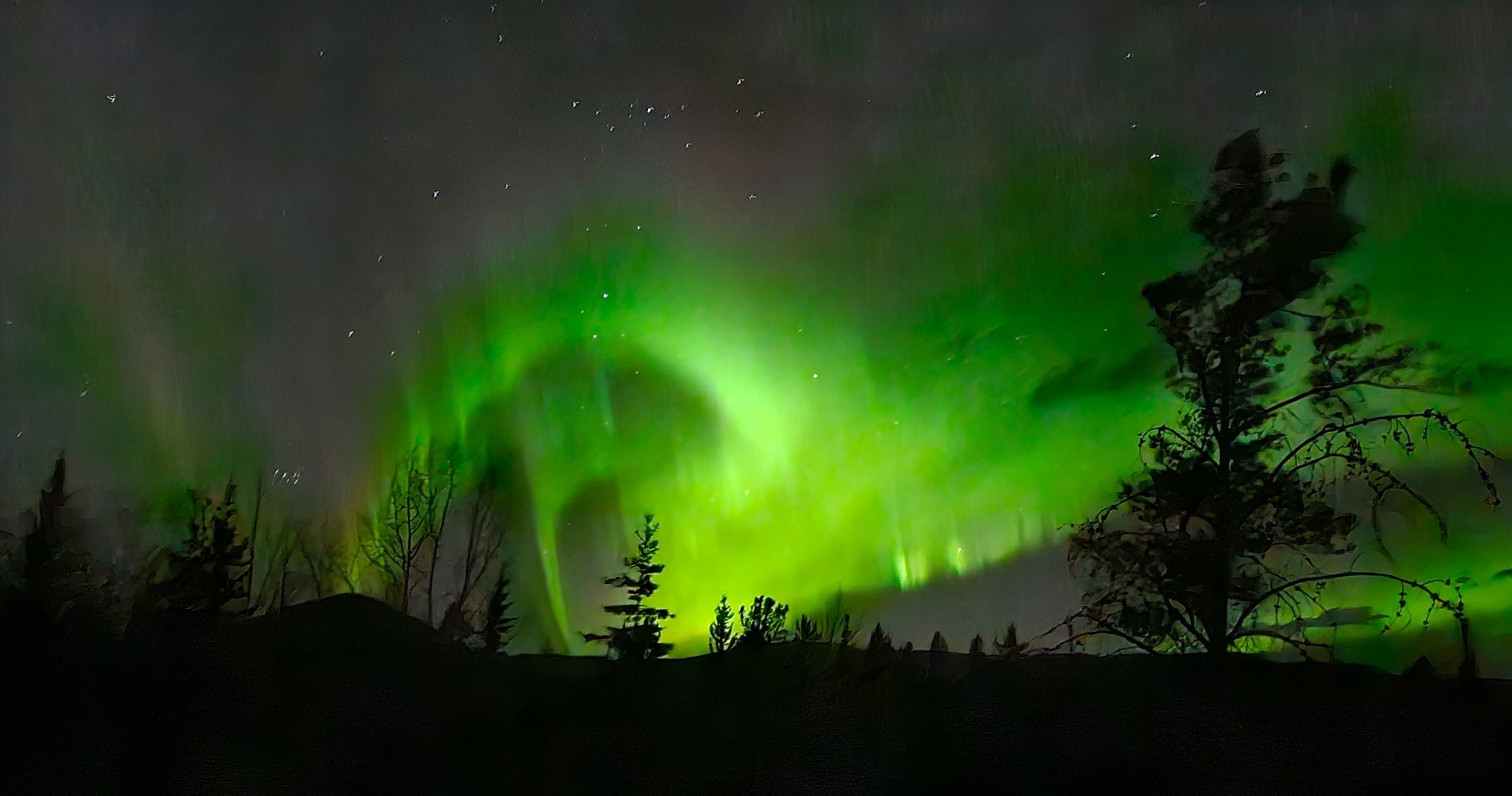 Scenic Shuttle Adventures from Seward in Alaska