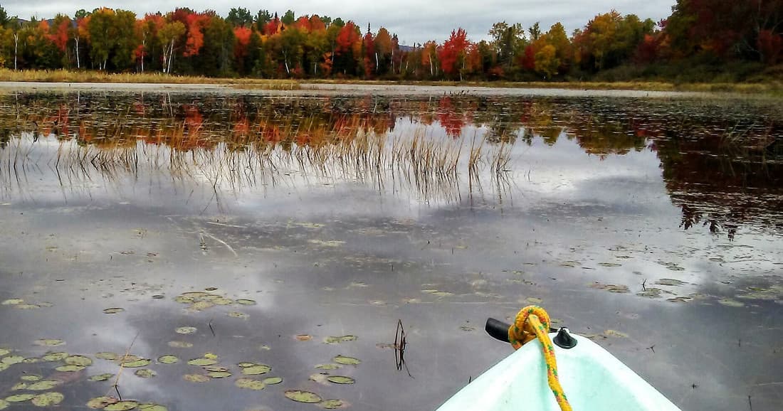 Kayak paddling toward pond with autumn trees, serene paddle