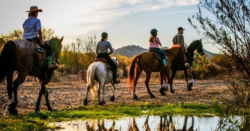 Santa Ynez Valley Horseback Rides team
