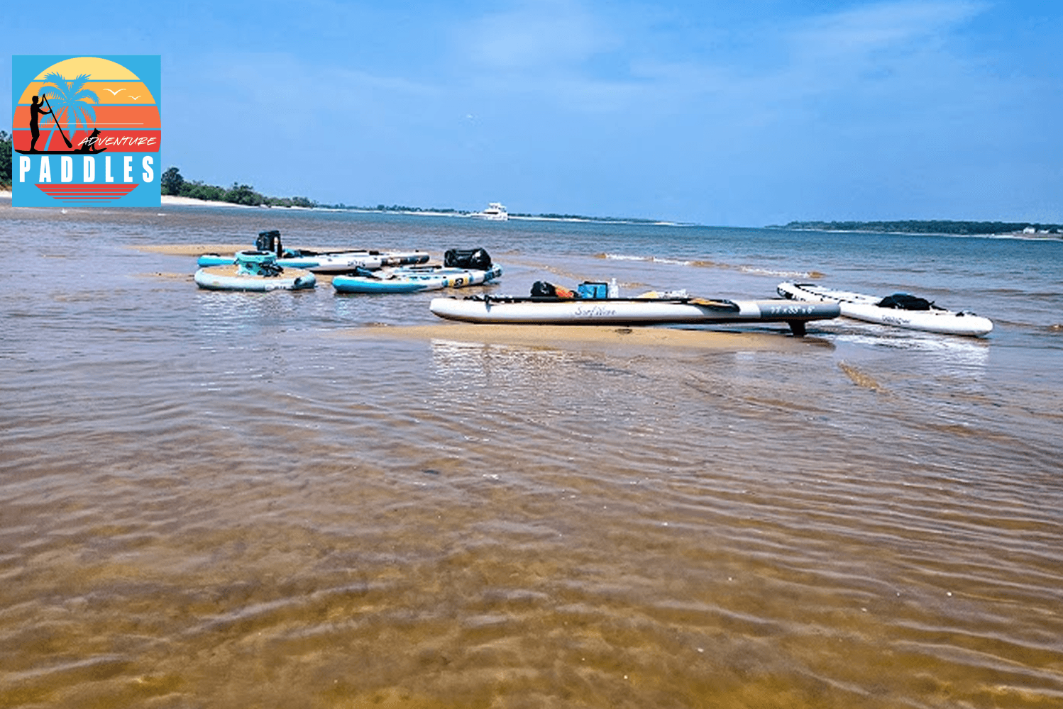 Texoma Island Day Excursion: Paddle Adventure in Pottsboro