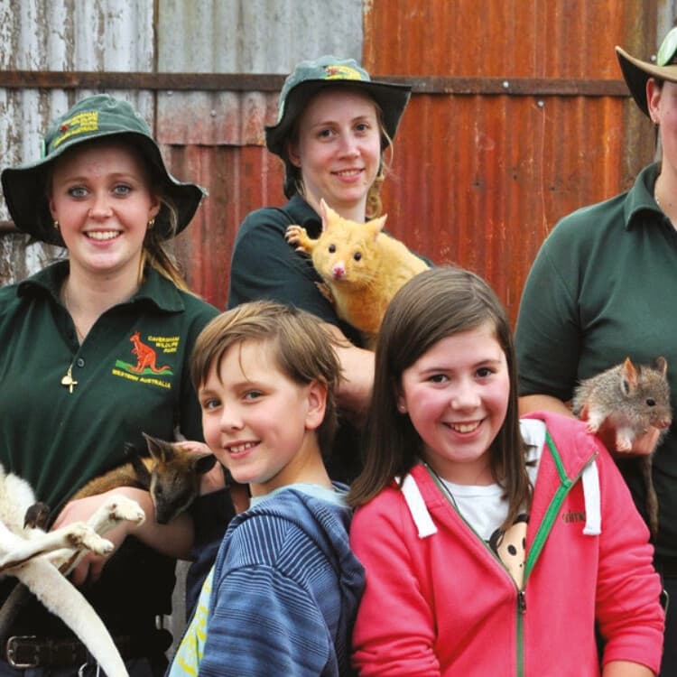 Koalas to Cabernet: Caversham Wildlife Park & Swan Valley Winery Day Trip from Perth