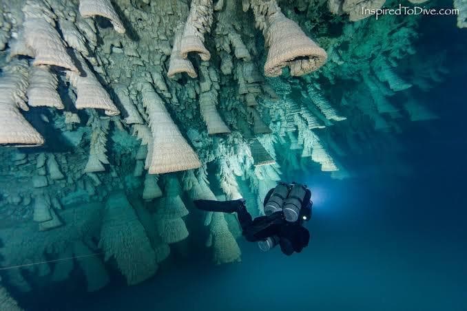 Water Adventures at Cenote Kin Ha & Hell Bells