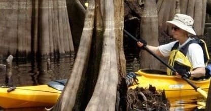 Paddle the Suwannee: Okefenokee Swamp to Gulf Guided Kayak Journey