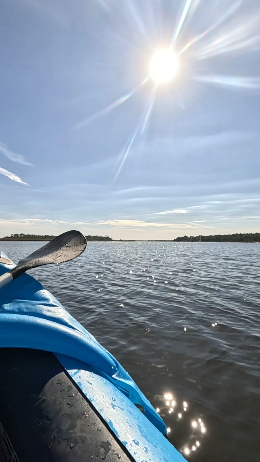 Eco Tour in Jacksonville Beach, Florida