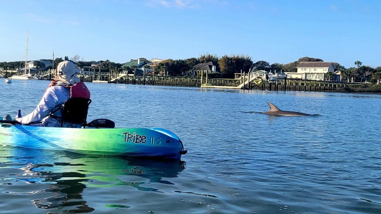 Kayaking St. Augustine's Dolphin Tour with Kayaking St. Augustine
