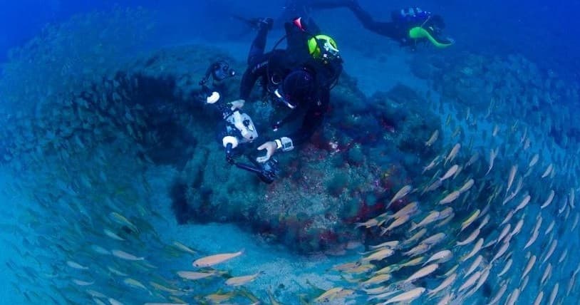 Scuba divers surrounded by swirling reef fish over coral in Canary Islands