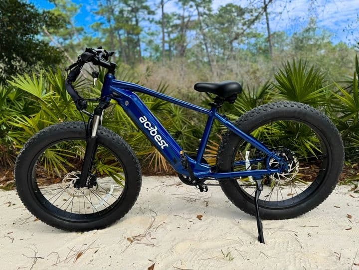 Beachside E-bike Adventures with Delivery Island Bikes