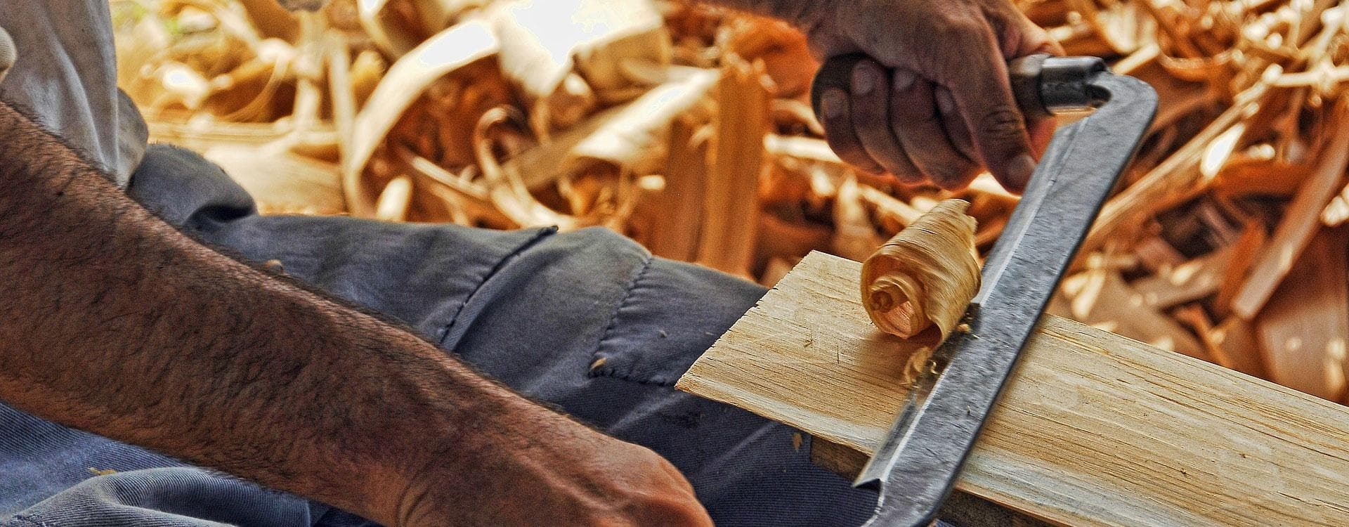 Cultural & Family Adventure at Mezzana Marilleva Sawmill