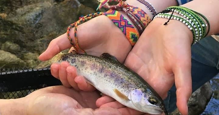 Family Fun Fly Fishing with Echo Adventure Cooperative in Groveland
