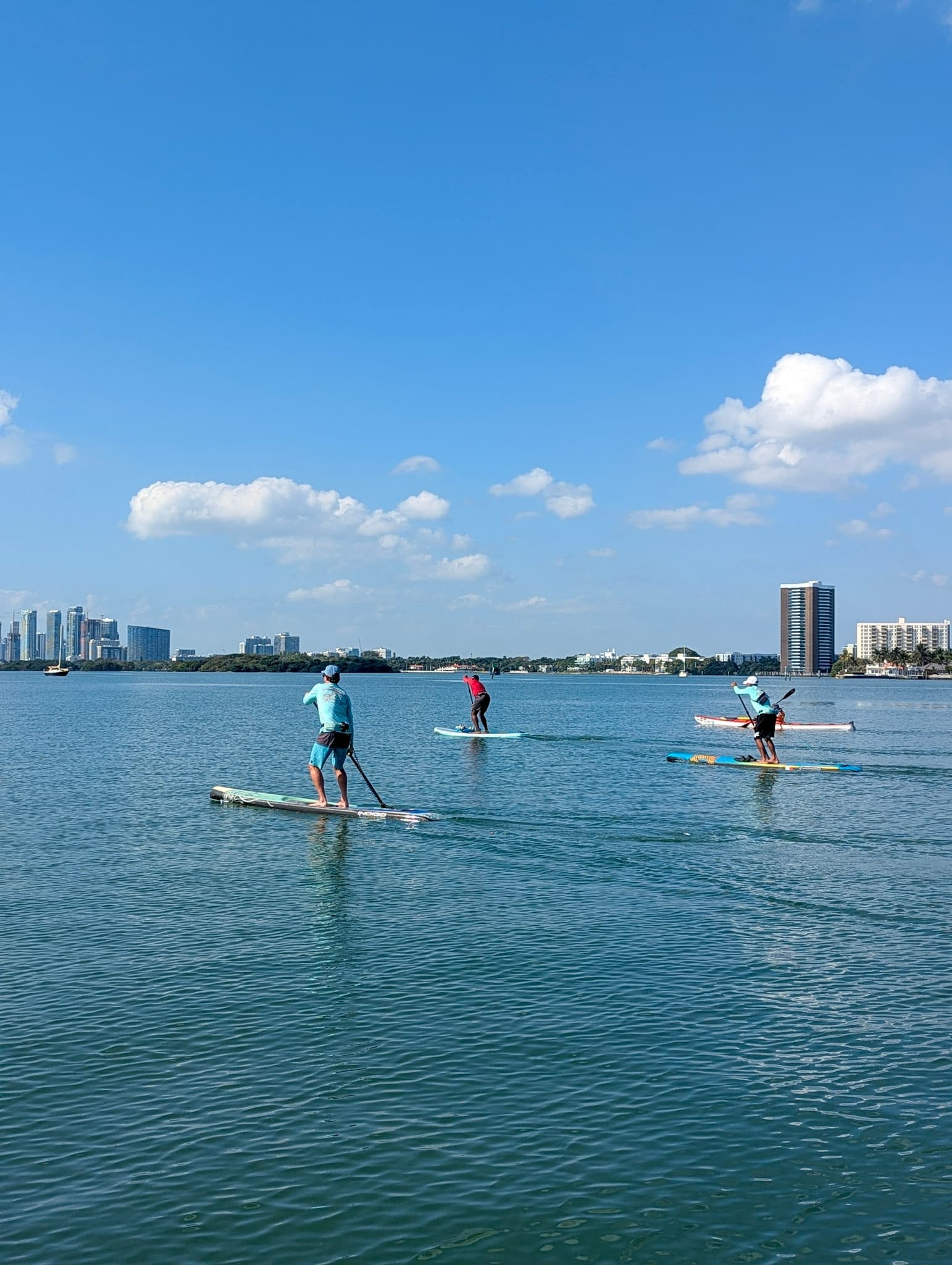 Stand-Up Paddleboarding in Biscayne Bay: PADL Rentals at Hobie Beach, Miami photo 3