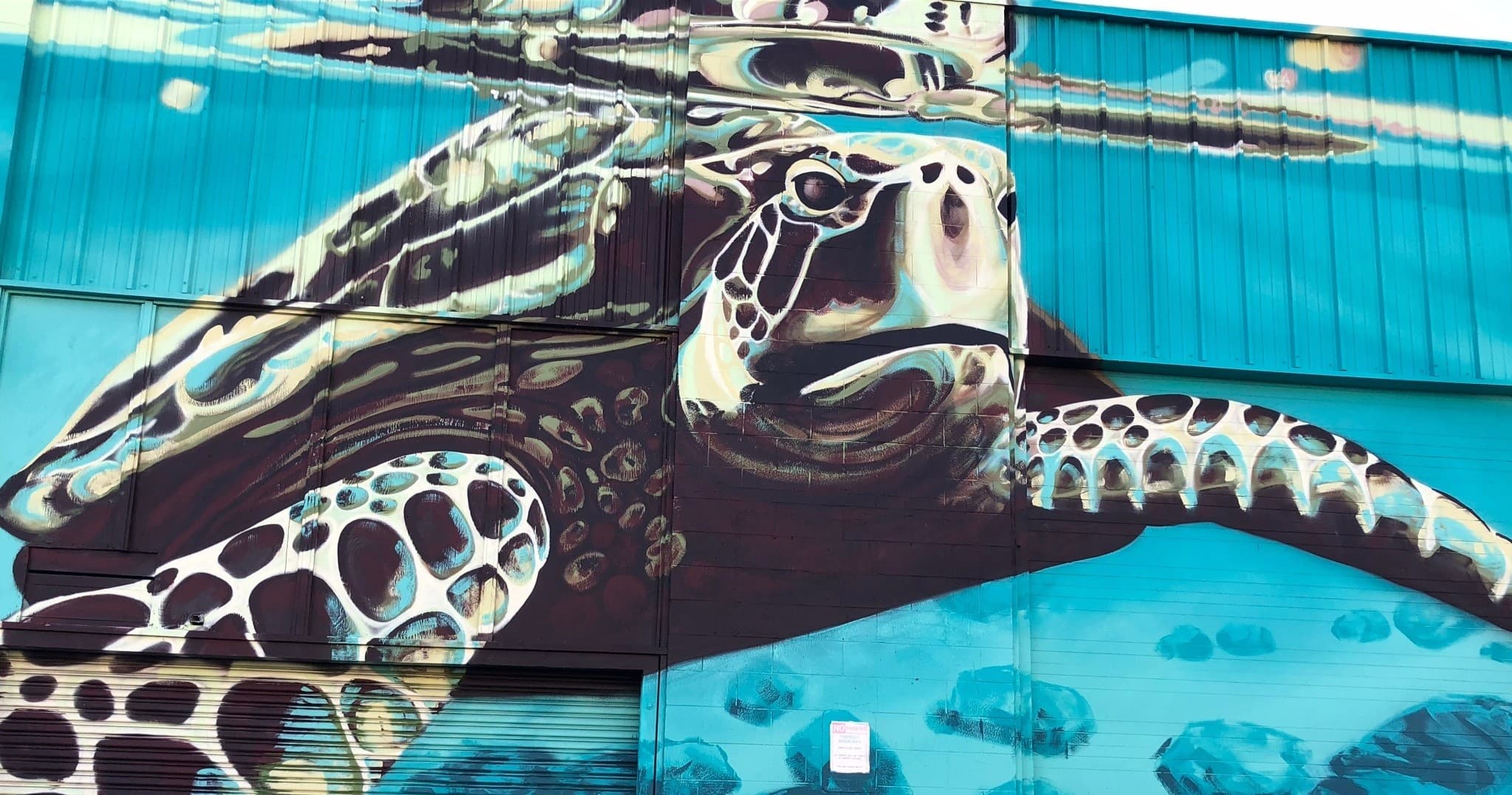 Culinary & Art Tour with Donna’s Detours in Oahu