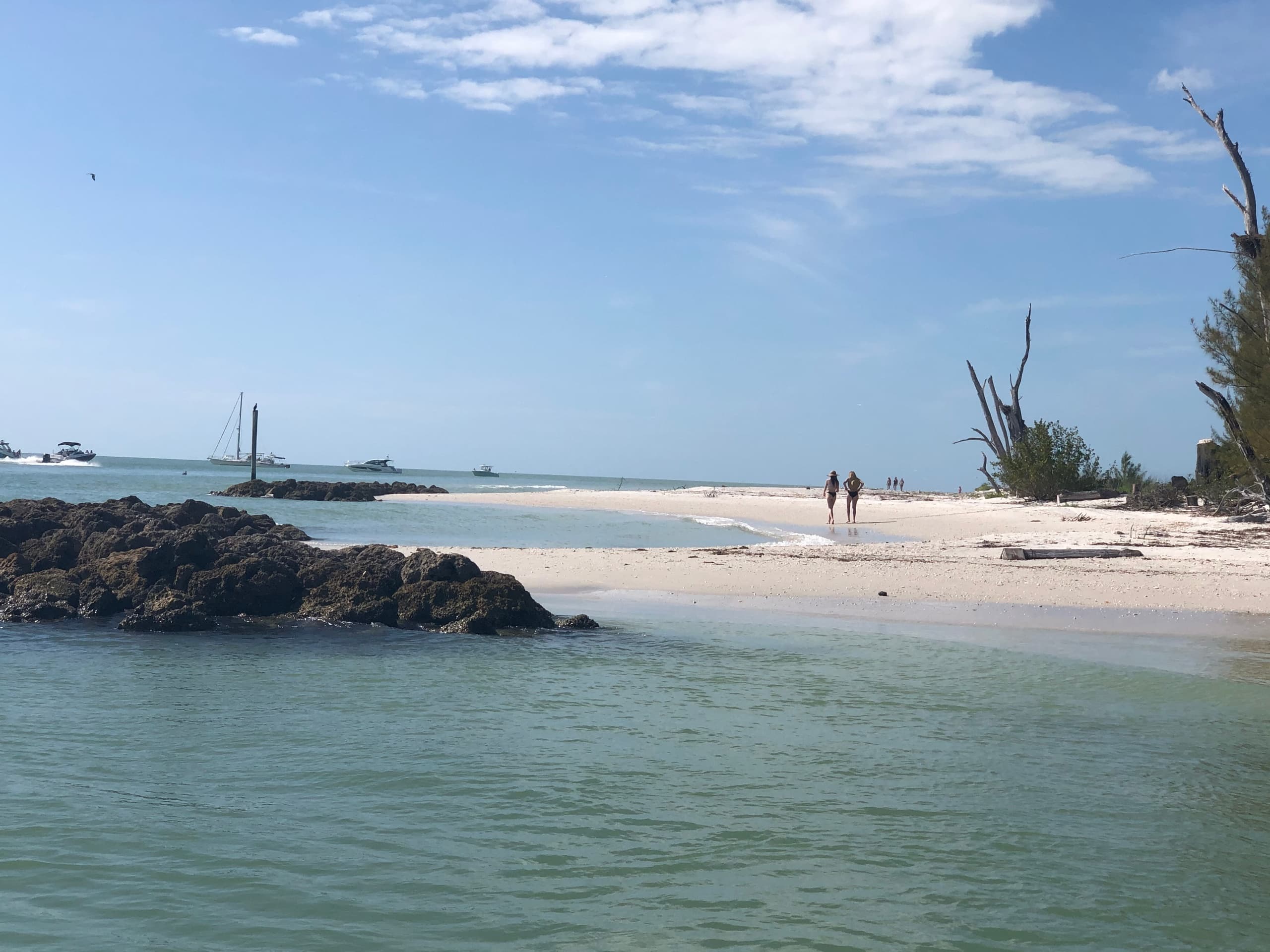 Discover Pristine Islands and Wildlife on a SW Florida Beach Exploration