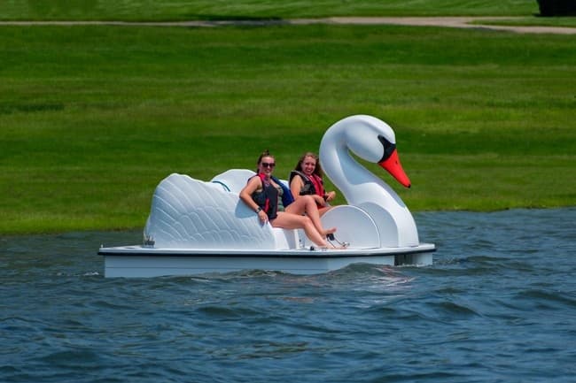 Explore Scenic Waters on a Swan Paddle Boat in Delavan, WI