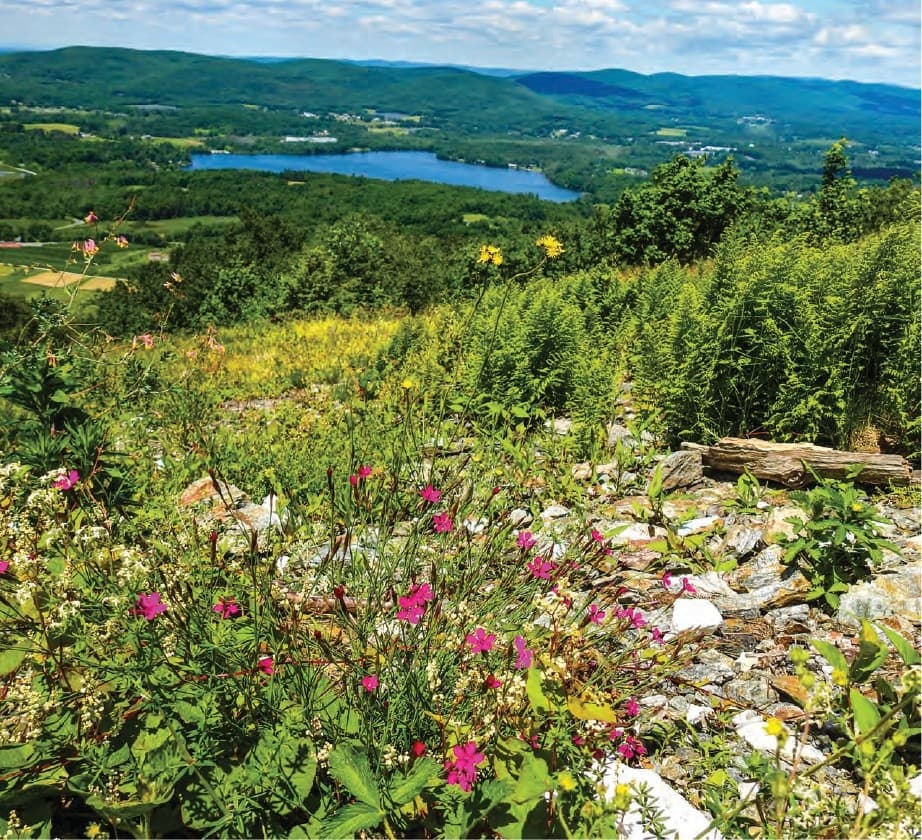 Pre-Show Nature Walk at Oliva's Overlook — BNRC Charcoal Trail in Lenox