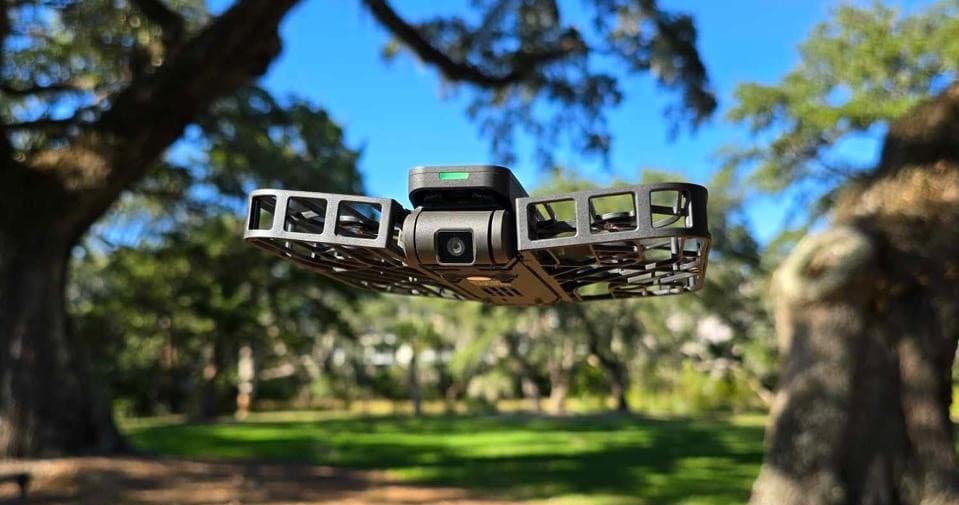 FPV drone flying through oak trees over grassy park trail