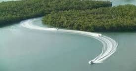 Aerial jet ski carving wide wake near mangrove shoreline