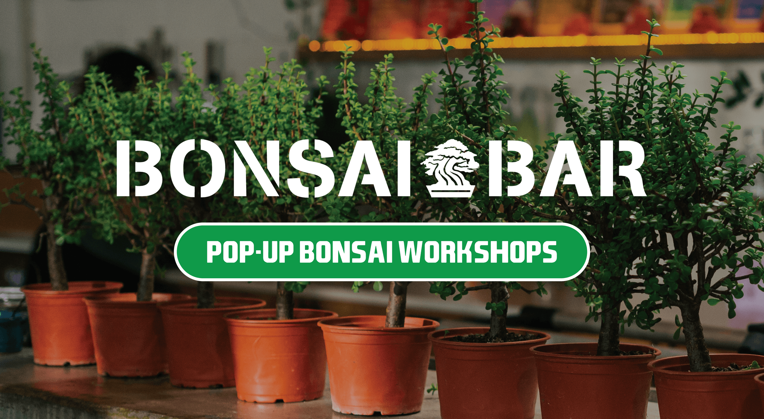Hands-On Bonsai Workshop at Port Orleans Brewing Co. in New Orleans