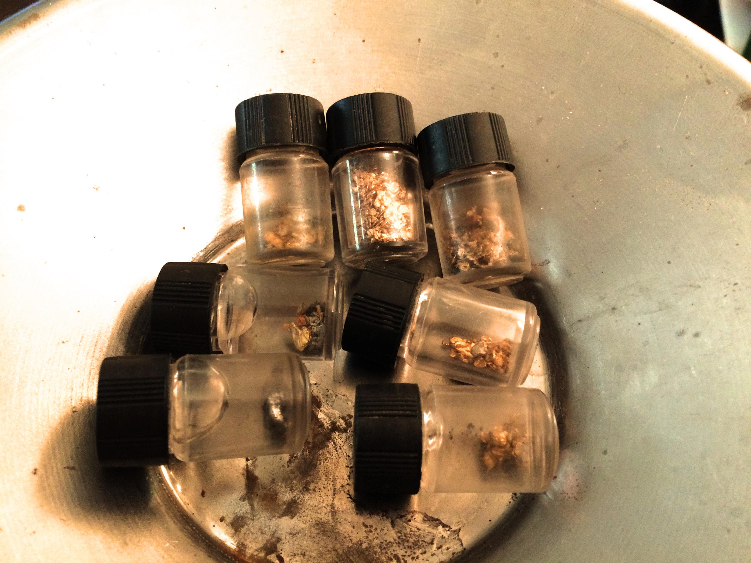 Gold Panning Adventure with California Gold Panning