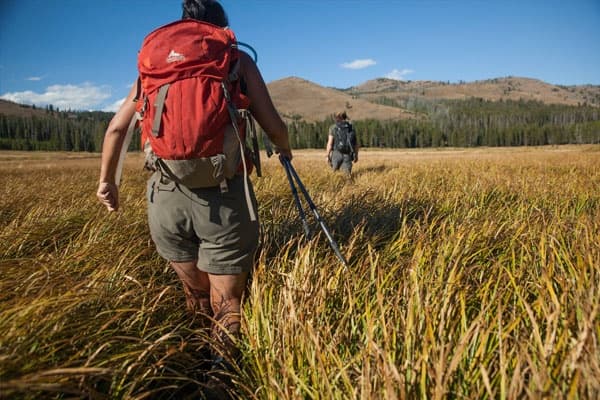 Yellowstone Full Day Private Hike by Good Trip Adventures - Montana
