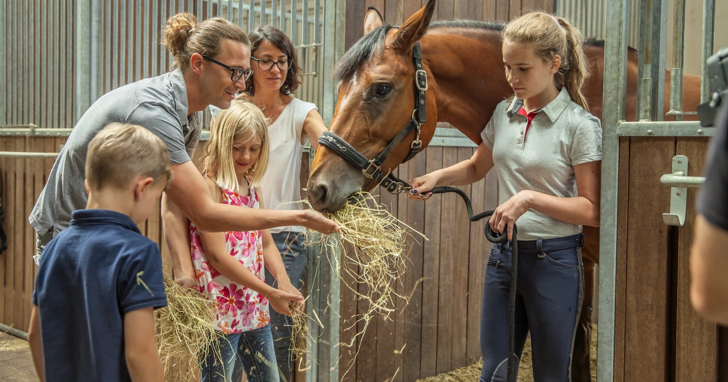 Family feeding brown horse in indoor stable, educational visit