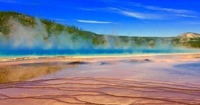 Wildlife & Scenic Private Tour by Easy Tours Yellowstone