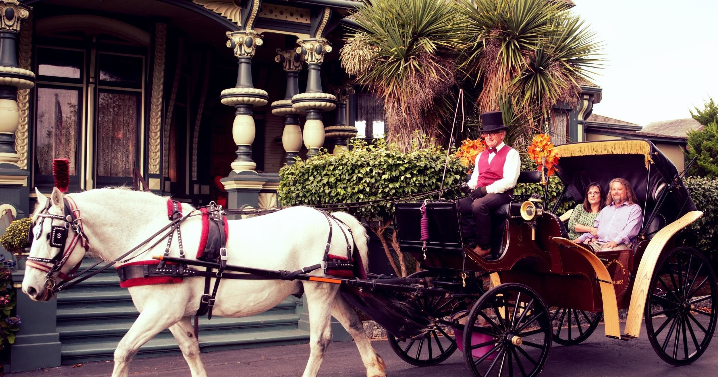 White horse pulling a vintage carriage past Victorian houses in Old Town
