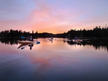 Sunrise Kayak Tour with See Through Kayak Tours in Fort Myers