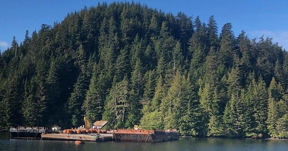 Lush forested island panorama for coastal sightseeing tours