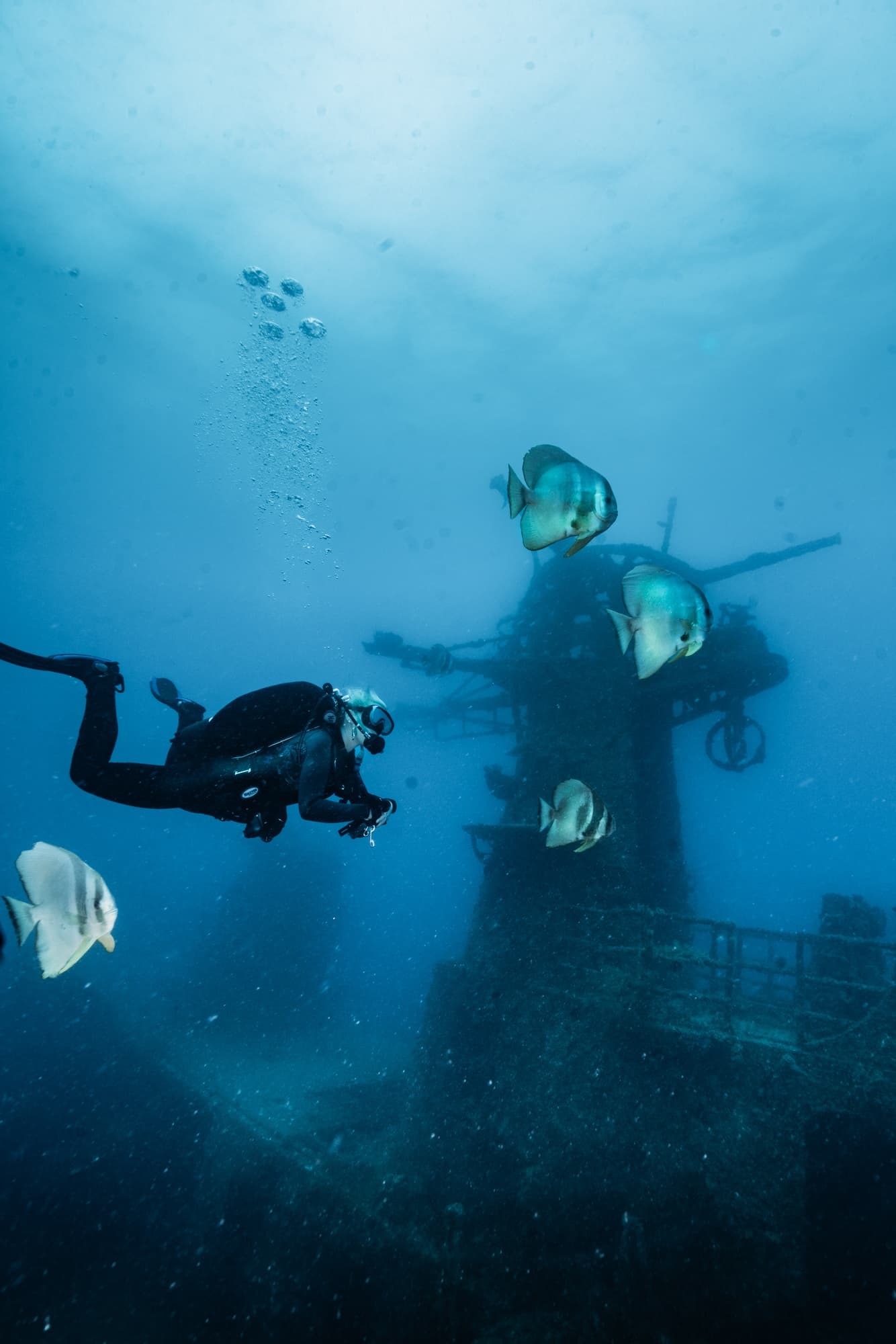 Wreck Diving the HMAS Swan with Swan Dive