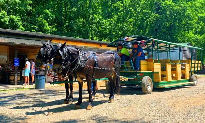 Land-Adventures & History at Short Mountain Distillery