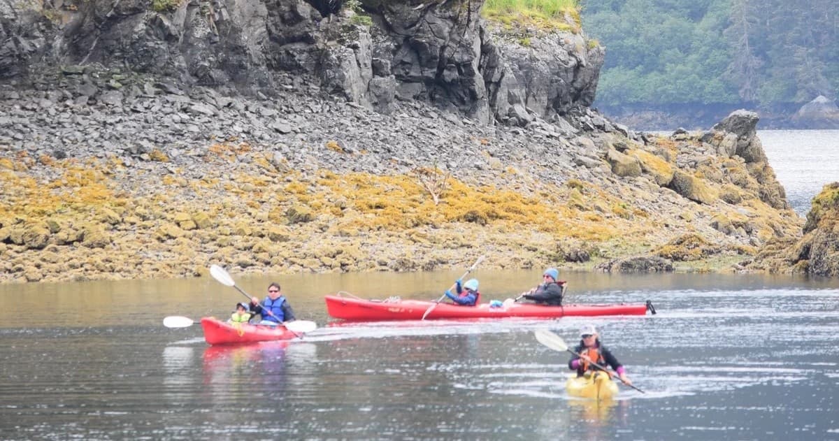 Luxury 3-Day Suite Cruise in Homer, Alaska