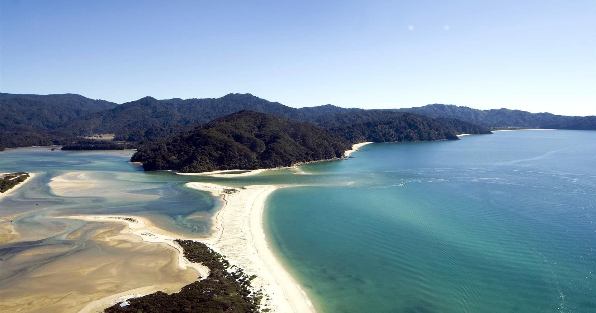 Golden Bay Adventure with Wine Art and Wilderness