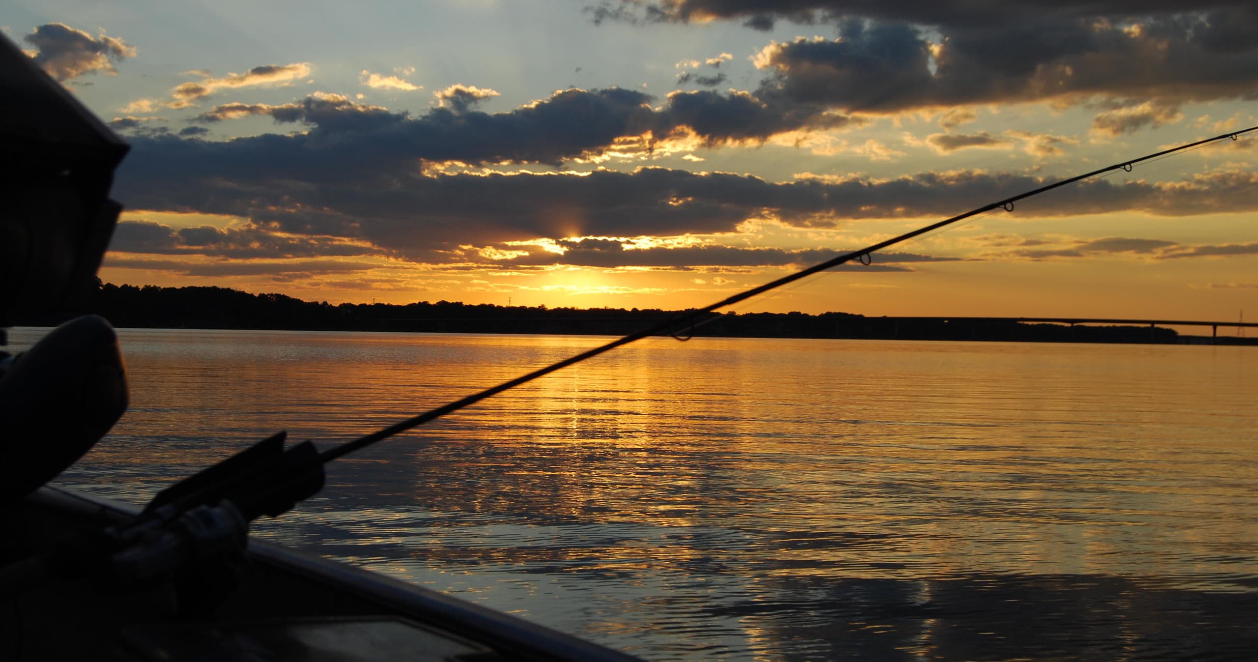 Water Activities and Harbor Cruises in Charleston, SC